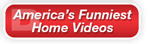 The Answer Is D America's Funniest Home Videos