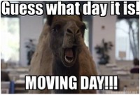Moving