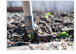 Call Before You Dig