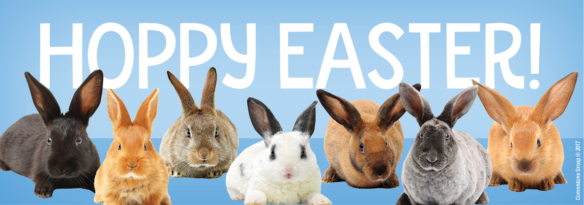 Hoppy Easter!