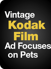 Vintage Kodak Film Ad Focuses on Pets