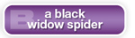 The Answer Is B a black widow spider