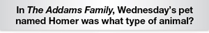 The Question Is In The Addams Family, Wednesday's pet named Homer was what type of animal?