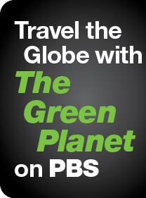 Travel the Globe with
The Green Planet on PBS