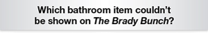 The Question Is Which bathroom item couldn't be shown on The Brady Bunch?