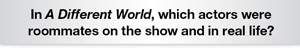 The Question Is - In A Different World, which actors were roommates on the show and in real life?
