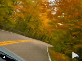 Fall for Fall in Vermont