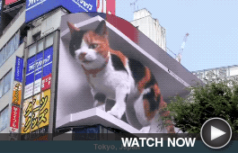 Cool Video 1 - Download Graphics to View