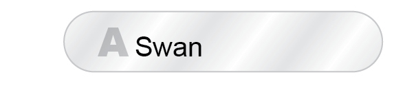 The Answer Is A - Swan