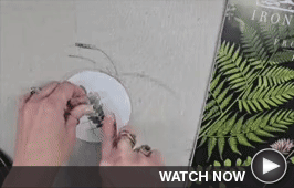 Crafty Demo 1 - Download Graphics to View