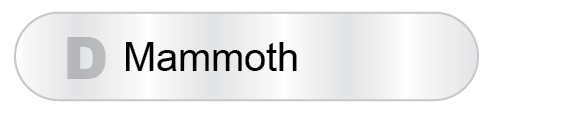 The Answer Is D - Mammoth