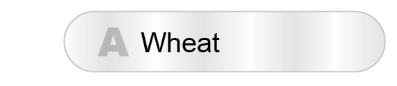 The Answer Is A - Wheat