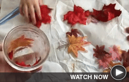 Motion Gif for Crafty Demo 2 - Click here to view the video on its landing page.