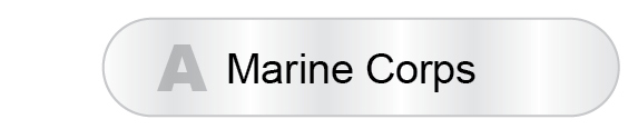 The Answer Is A - Marine Corps