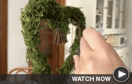 Heart Topiary and Garland