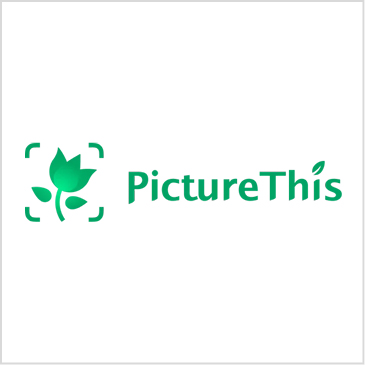 PictureThis