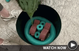 Cool Pool Noodle Ideas
