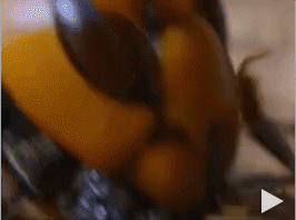 Secrets of the Bees
