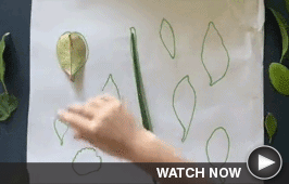 Motion Gif for Crafty Demo 1 - Click here to view the video on its landing page.
