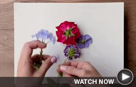 Motion Gif for Crafty Demo 1 - Click here to view the video on its landing page.