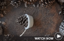 Motion Gif for Do-It-Yourself Demo 2 - Click here to view the video on its landing page.
