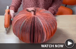 Crafty demo