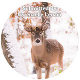 December Calendar Photo