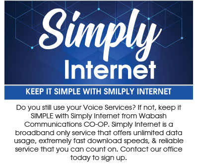 Simply Internet - Download Graphics to View
