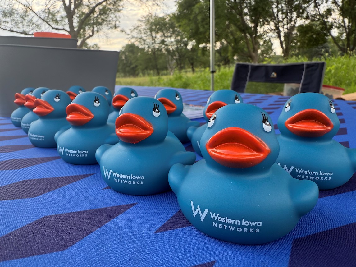 WIN Ducks Picture - Download Images to View